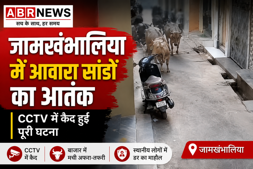 Jamkhambhaliya bull terror CCTV footage showing stray bulls fighting in Soni Bazaar market Gujarat