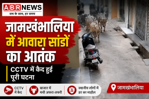 Jamkhambhaliya bull terror CCTV footage showing stray bulls fighting in Soni Bazaar market Gujarat