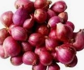 BIO GREEN FOODSTUFF TRADING LLC